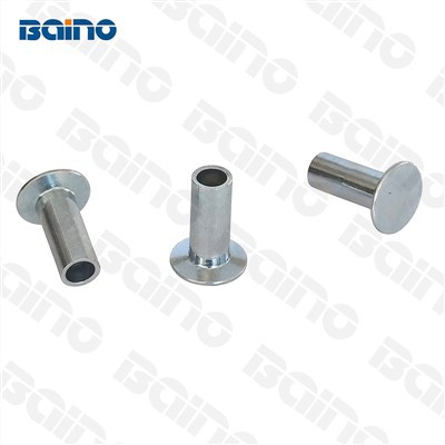 Заковице за ципеле кочнице